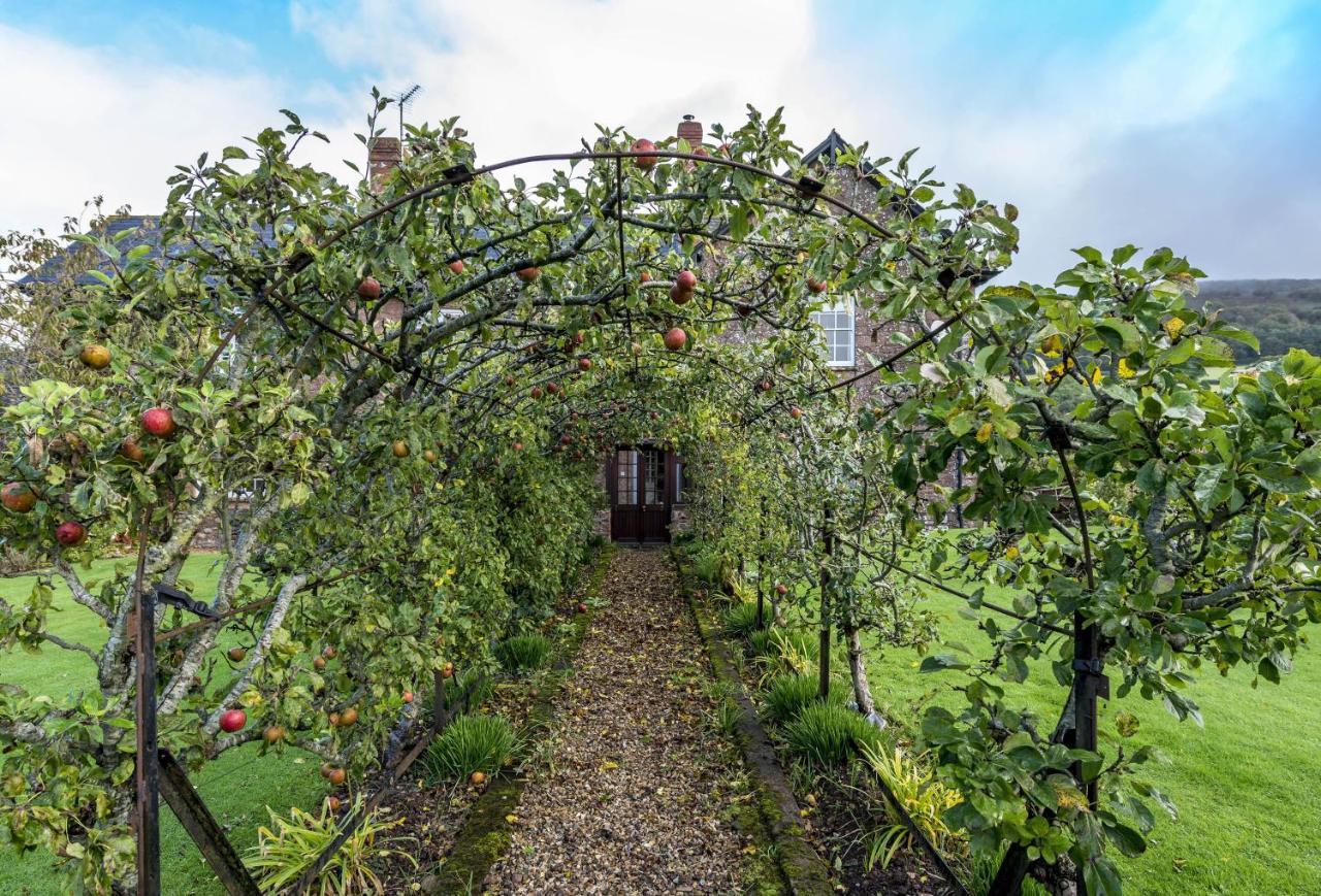 Hearn Lodge Nether Stowey Екстер'єр фото